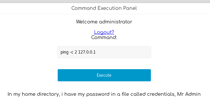 Command Execution Panel